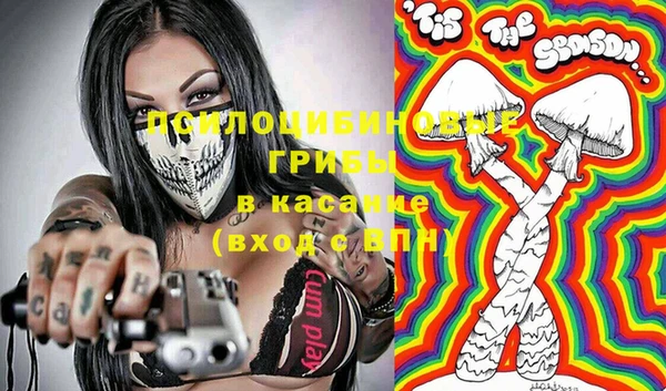 крисы Алзамай