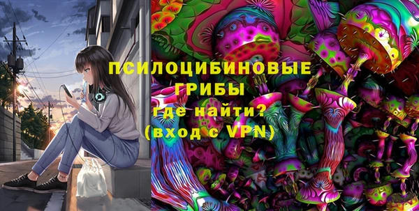 крисы Алзамай